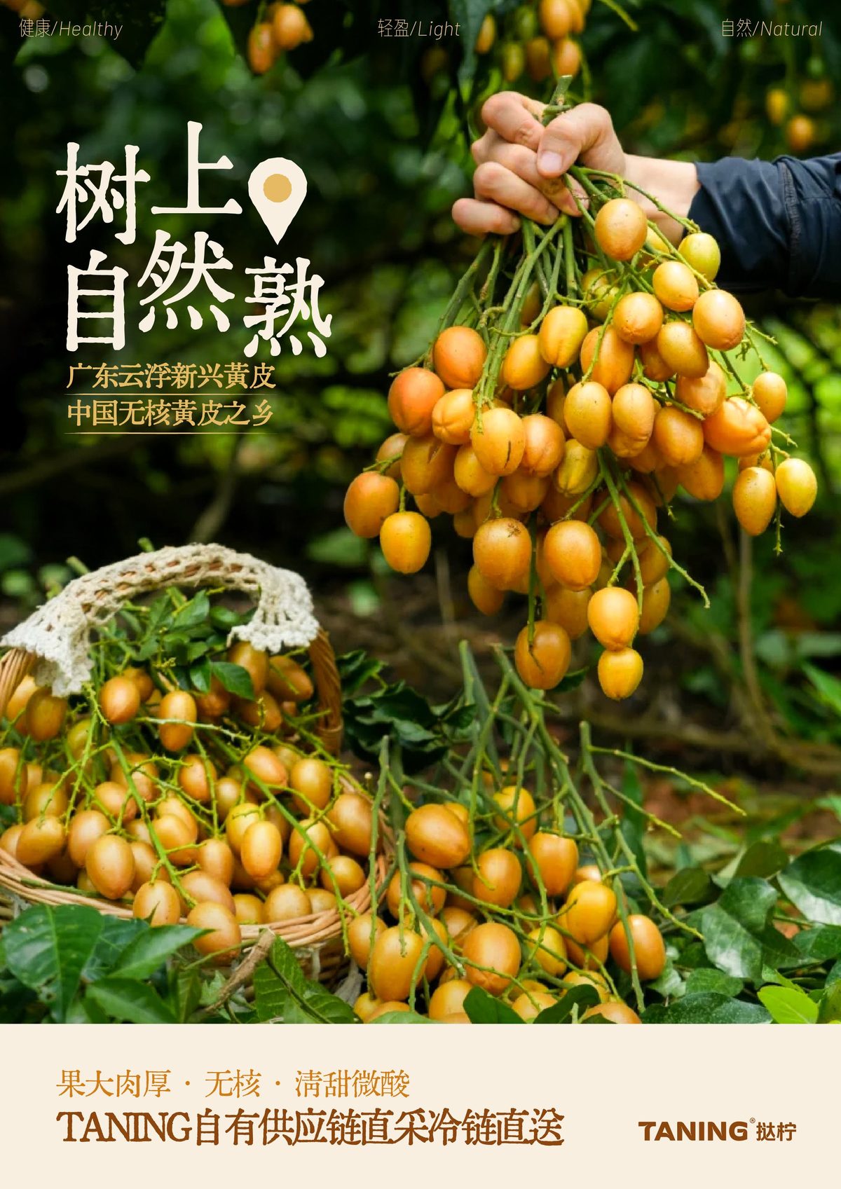 果蔬茶这个品类,挞柠是怎么做起来的?