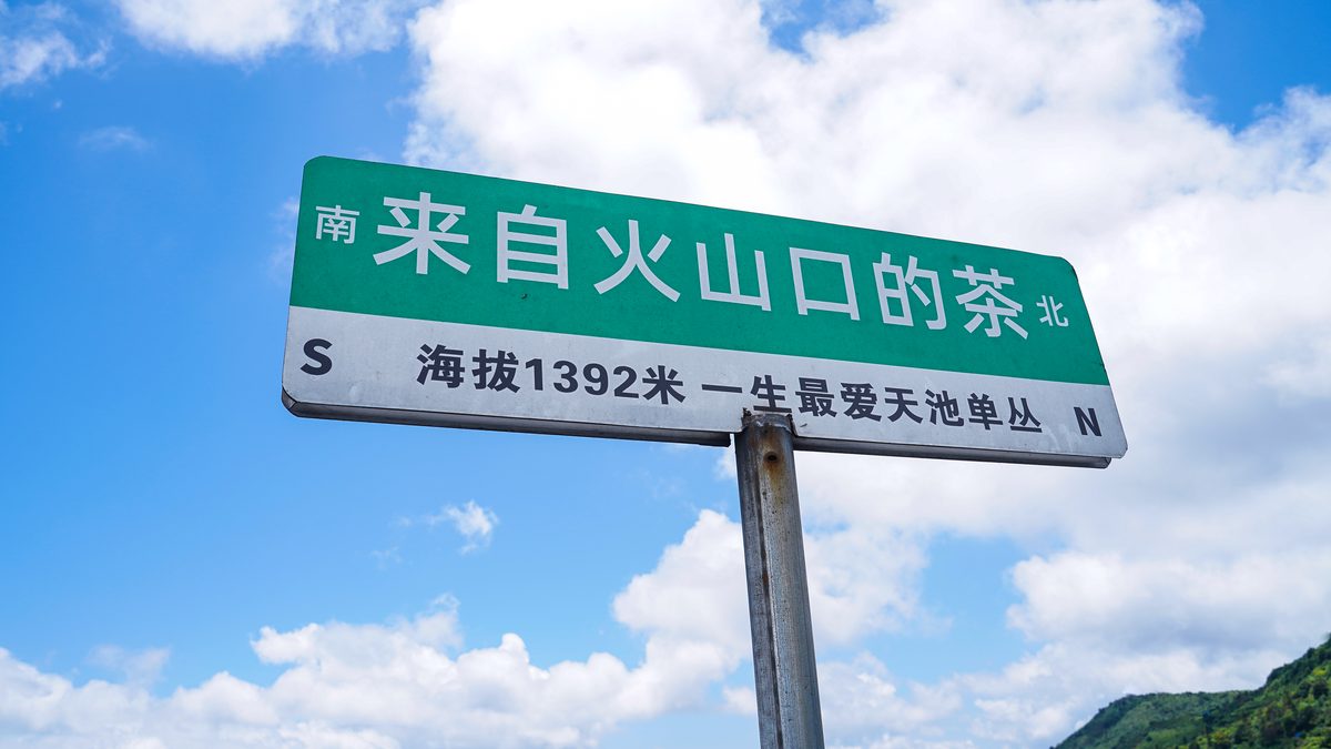 全球化布局与数字化驱动:挞柠柠檬茶产业链的制胜之道